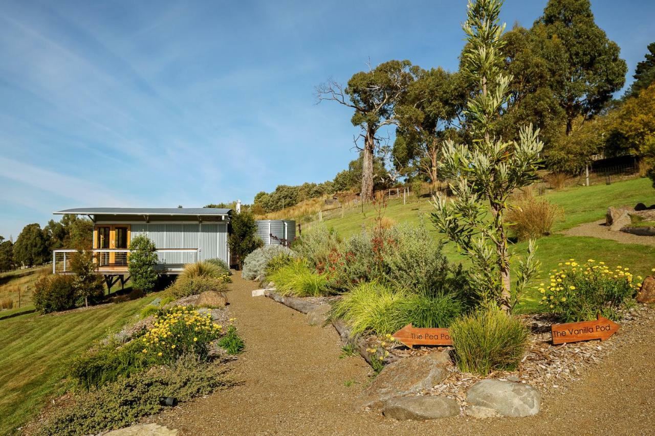 Hobart Hideaway Pods Panzió Kingston Kültér fotó