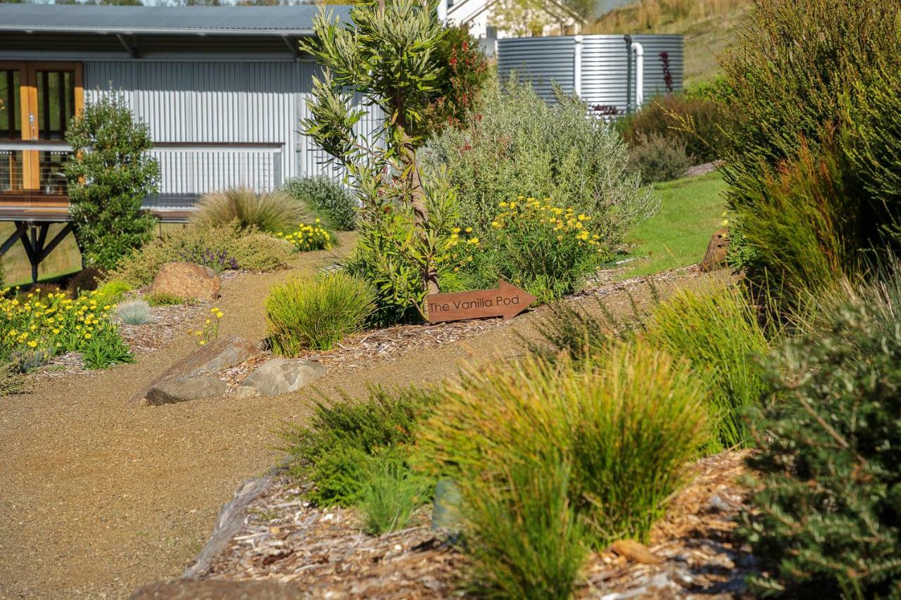 Hobart Hideaway Pods Panzió Kingston Kültér fotó
