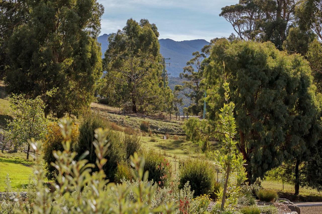 Hobart Hideaway Pods Panzió Kingston Kültér fotó